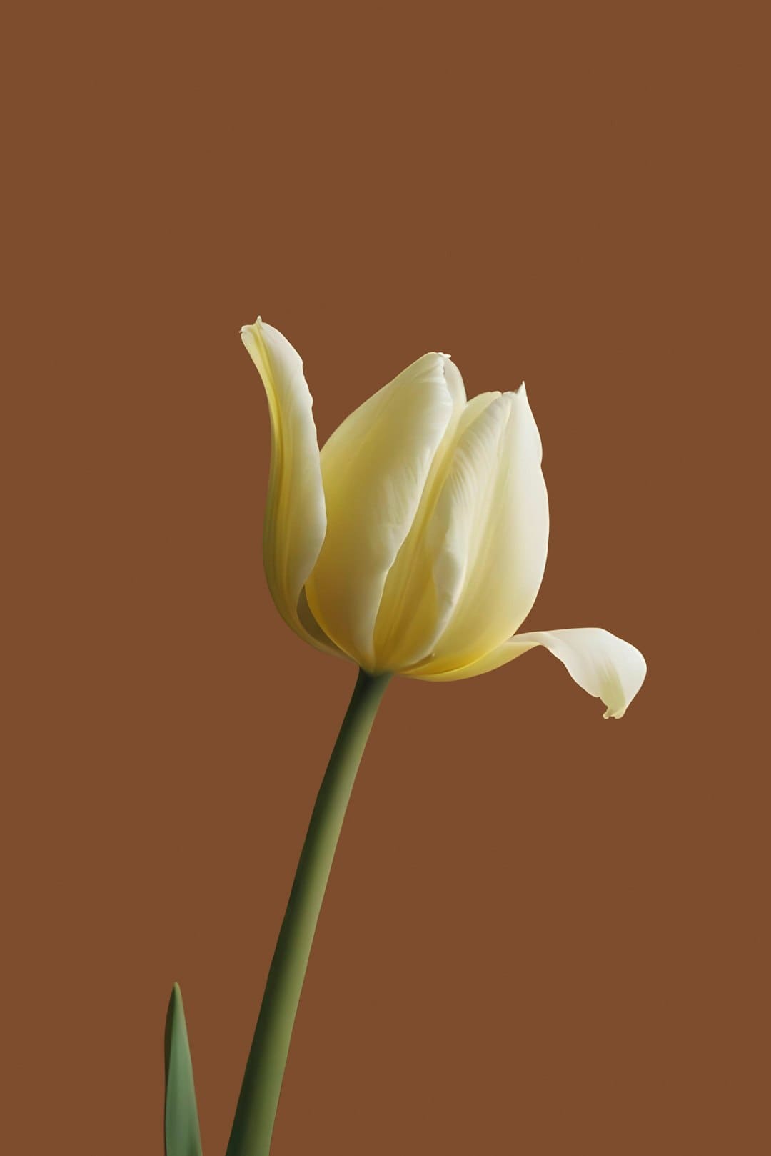 https://p3.img.cctvpic.com/photoworkspace/contentimg/2025/09/06/2025090609253635953.jpg